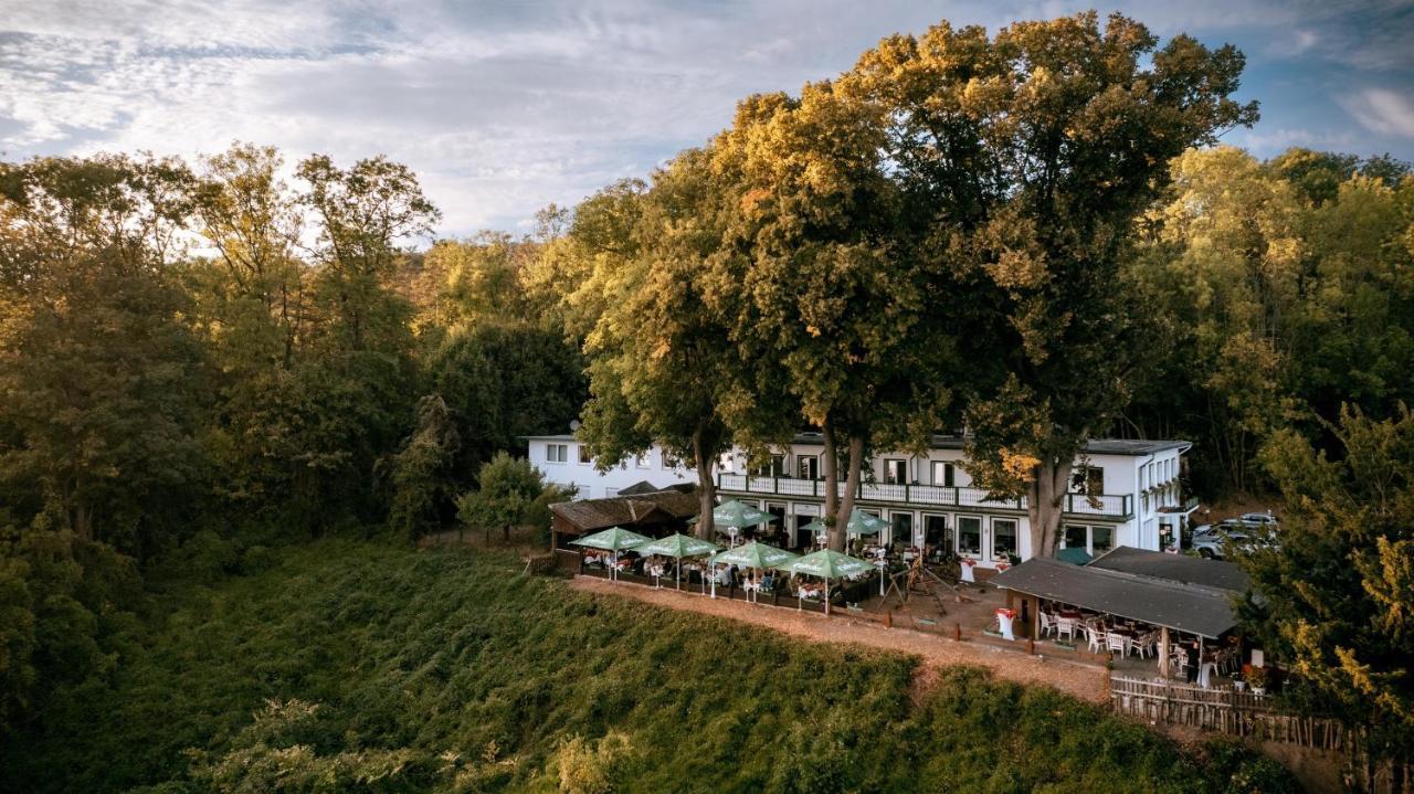 Hotel Hasenjaeger アインベック エクステリア 写真